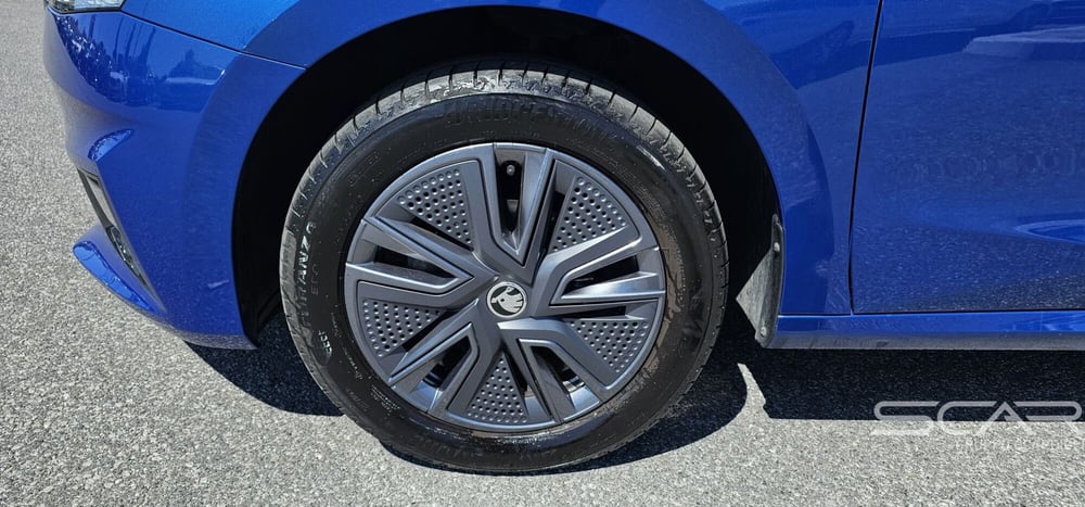 Skoda Fabia usata a Livorno (10)