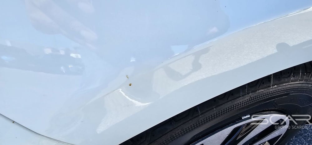 Ford Fiesta usata a Livorno (10)