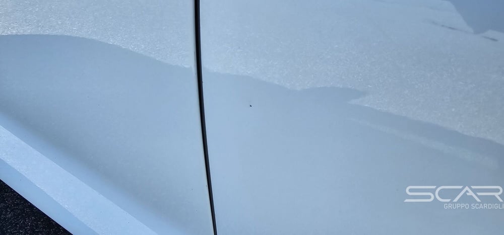 Ford Fiesta usata a Livorno (11)