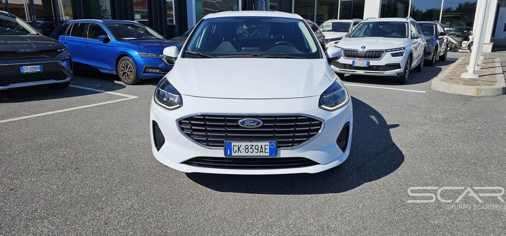 Ford Fiesta usata a Livorno (8)