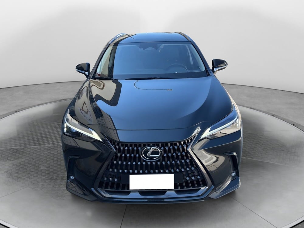 Lexus NX usata a Modena (2)