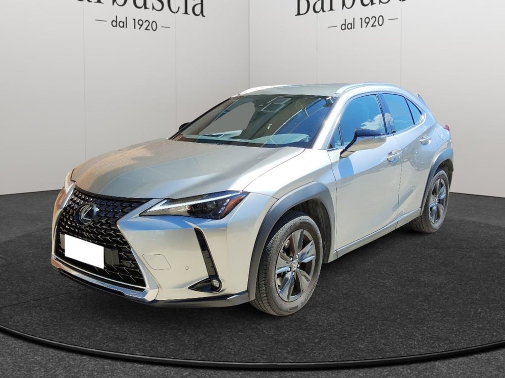 Lexus UX usata a Pescara