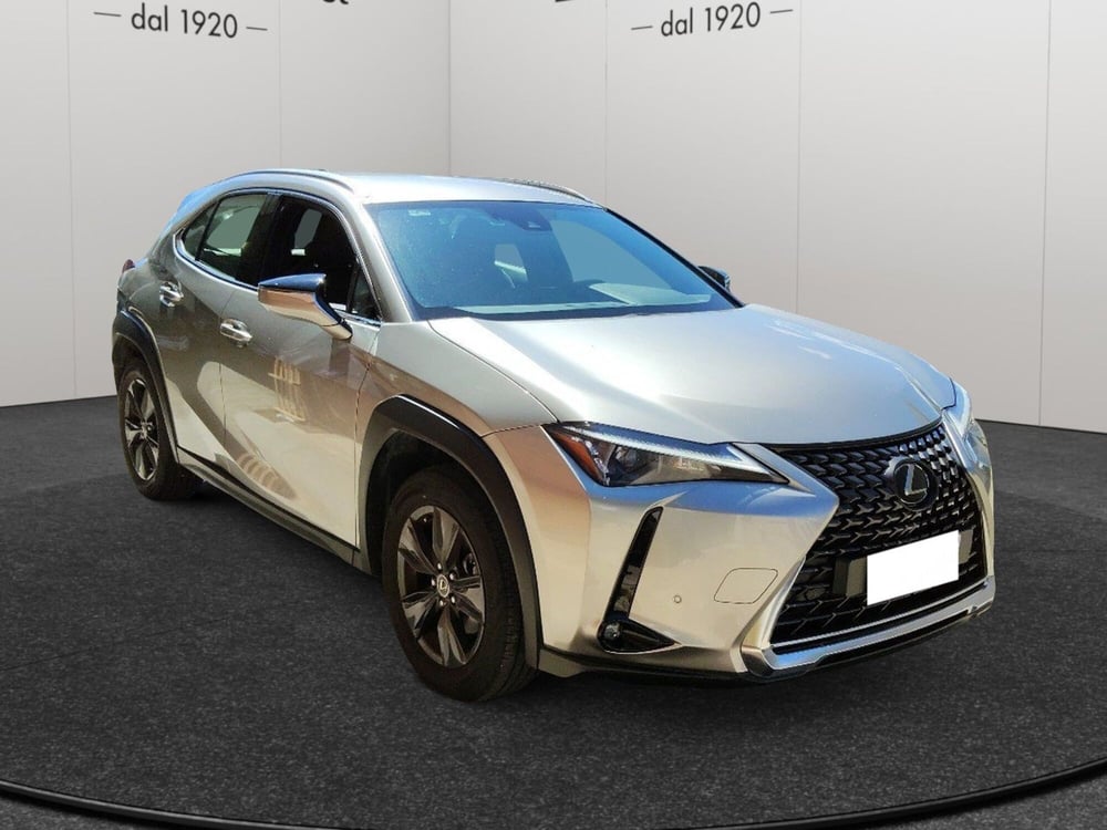 Lexus UX usata a Pescara (2)