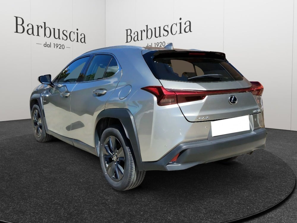 Lexus UX usata a Pescara (4)