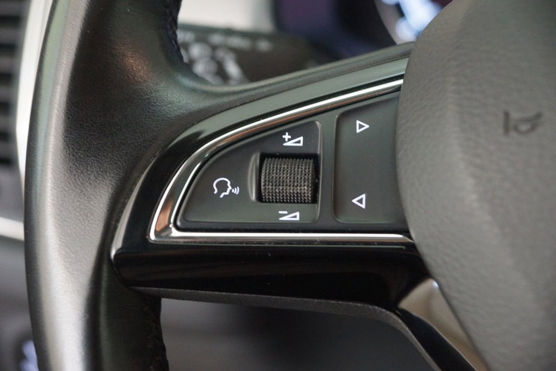 Skoda Kodiaq usata a Torino (15)