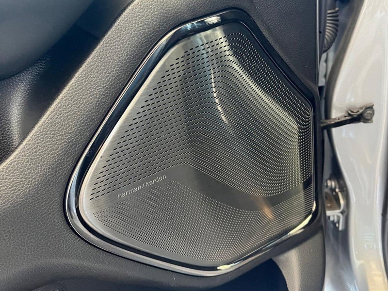 Ram Ram Pick-up nuova a Asti (11)