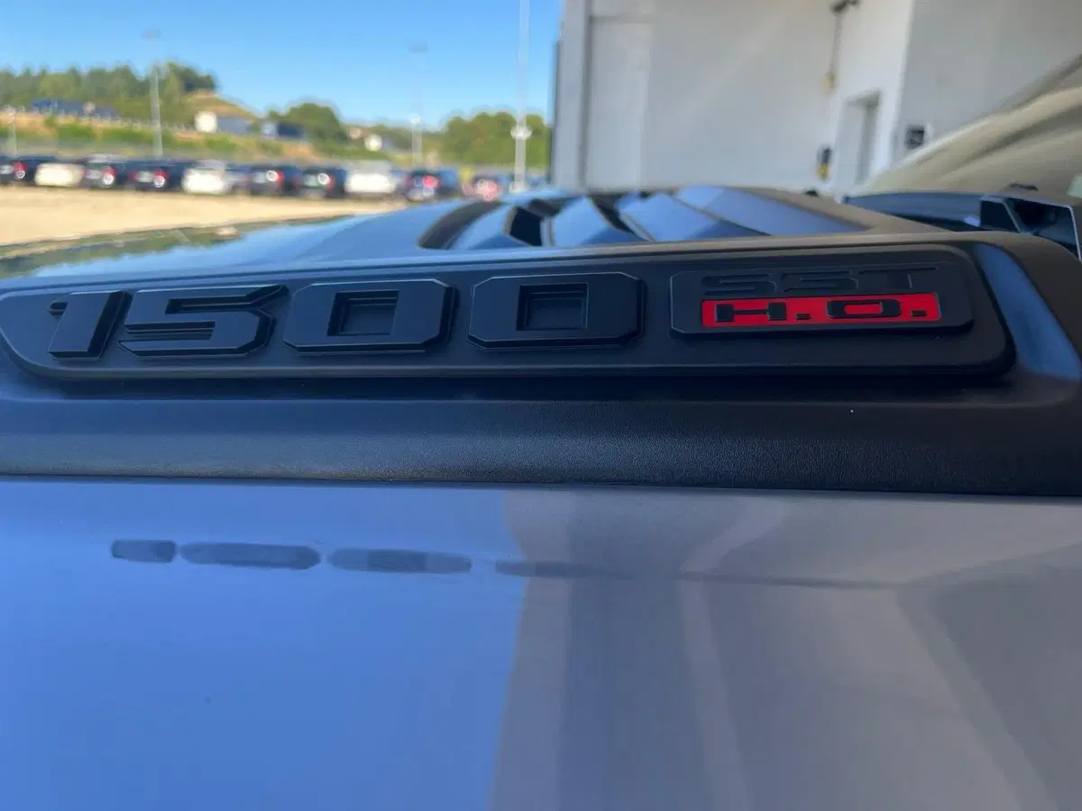 Ram Ram Pick-up nuova a Asti (12)