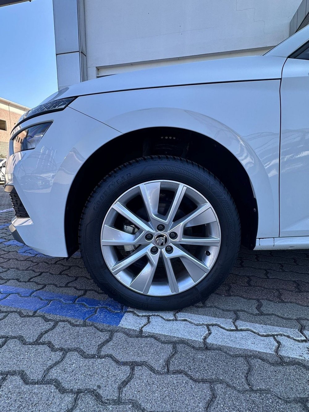 Skoda Kamiq usata a Cremona (18)