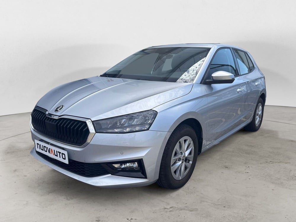 Skoda Fabia usata a Cremona