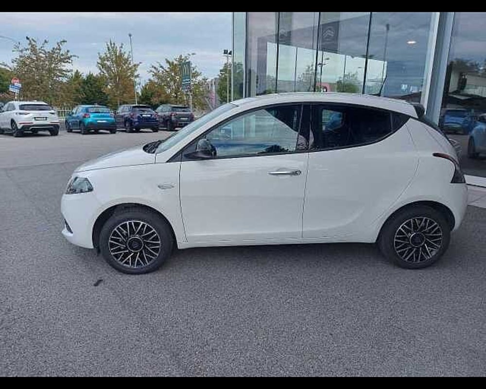 Lancia Ypsilon usata a Venezia (6)