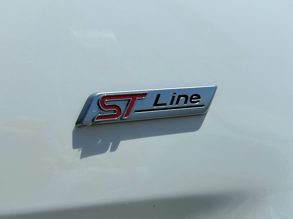 Ford EcoSport usata a Torino (12)