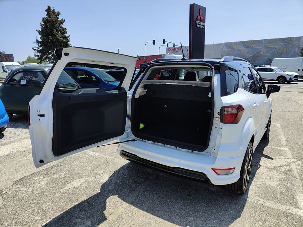 Ford EcoSport usata a Torino (9)