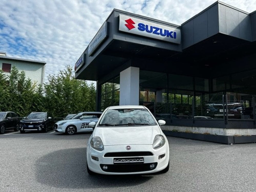 Fiat Punto usata a Vercelli (2)