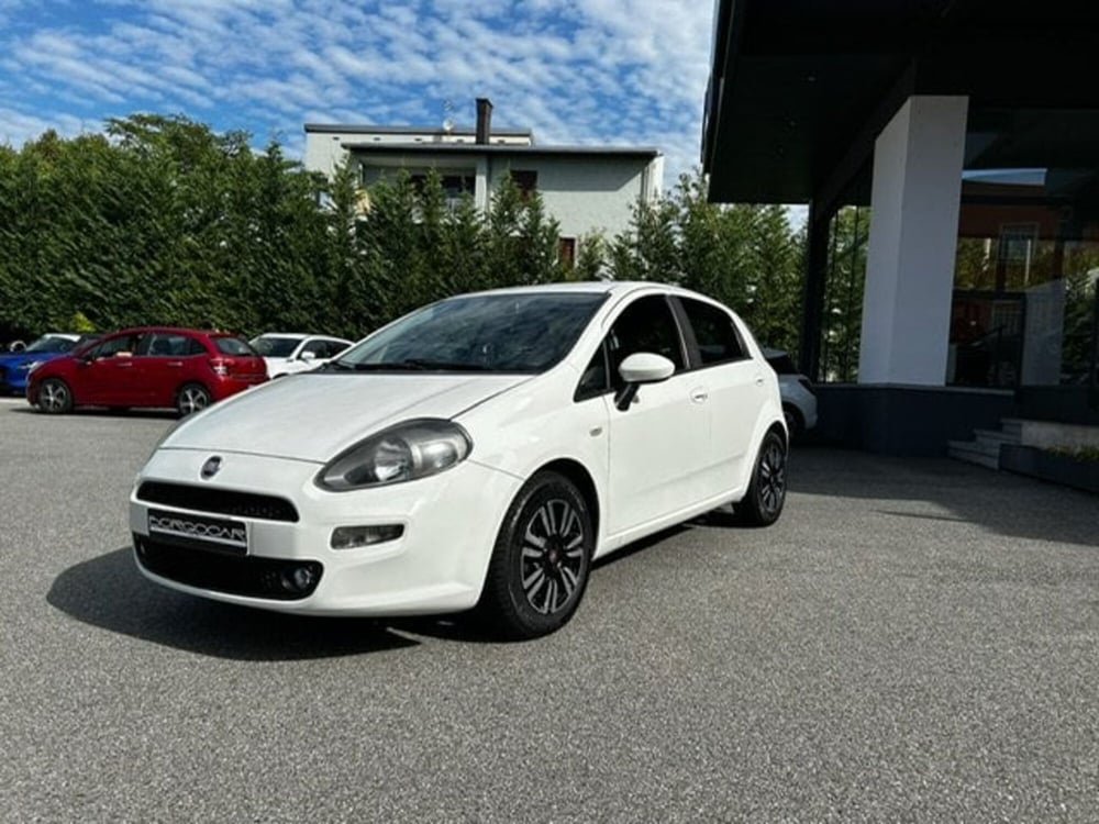 Fiat Punto usata a Vercelli (3)