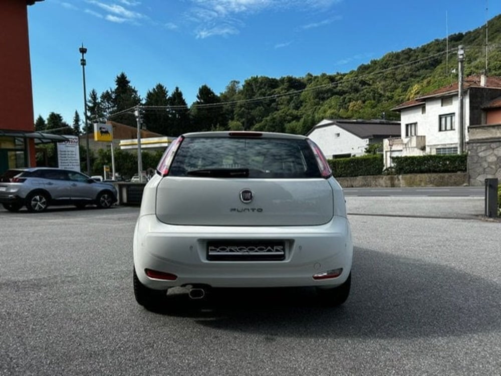 Fiat Punto usata a Vercelli (6)