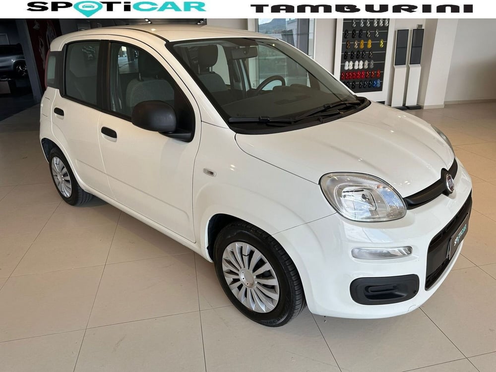 Fiat Panda Cross usata a Arezzo