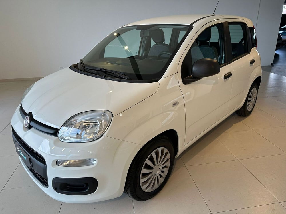 Fiat Panda Cross usata a Arezzo (2)