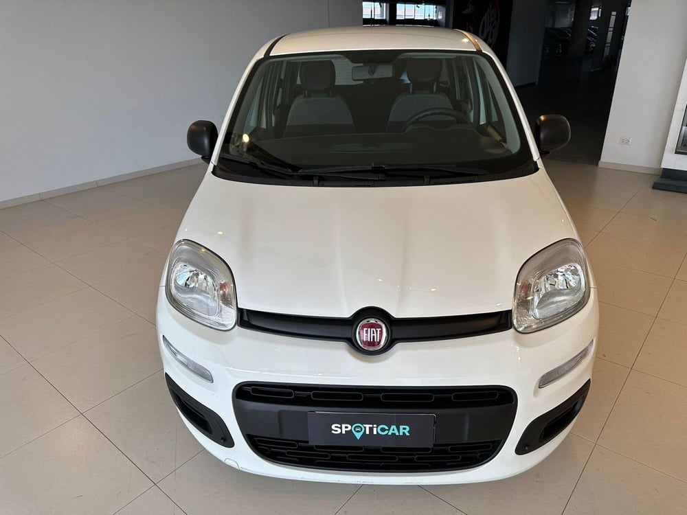 Fiat Panda Cross usata a Arezzo (3)