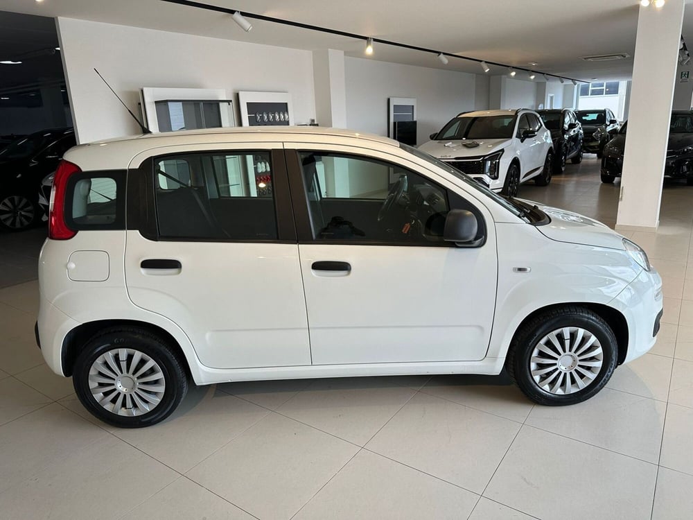 Fiat Panda Cross usata a Arezzo (4)