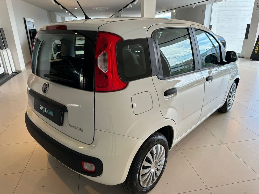 Fiat Panda Cross usata a Arezzo (6)