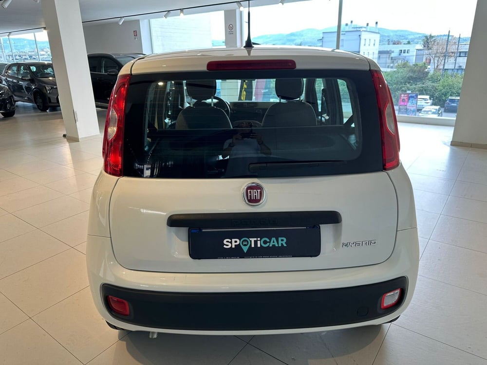 Fiat Panda Cross usata a Arezzo (7)