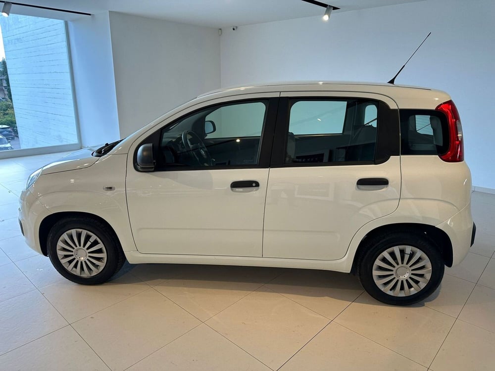 Fiat Panda Cross usata a Arezzo (8)