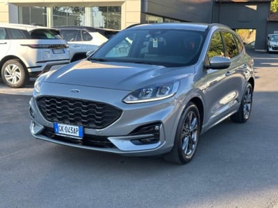 Ford Kuga 1.5 EcoBlue 120 CV 2WD ST-Line del 2022 usata a Massarosa