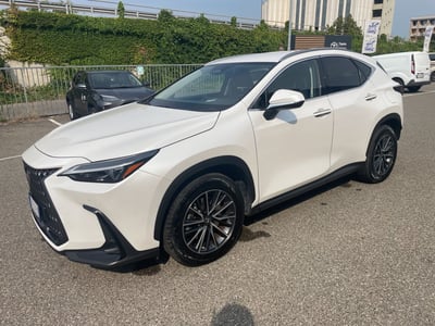 Lexus NX Plug-in 4WD Premium del 2023 usata a Piacenza