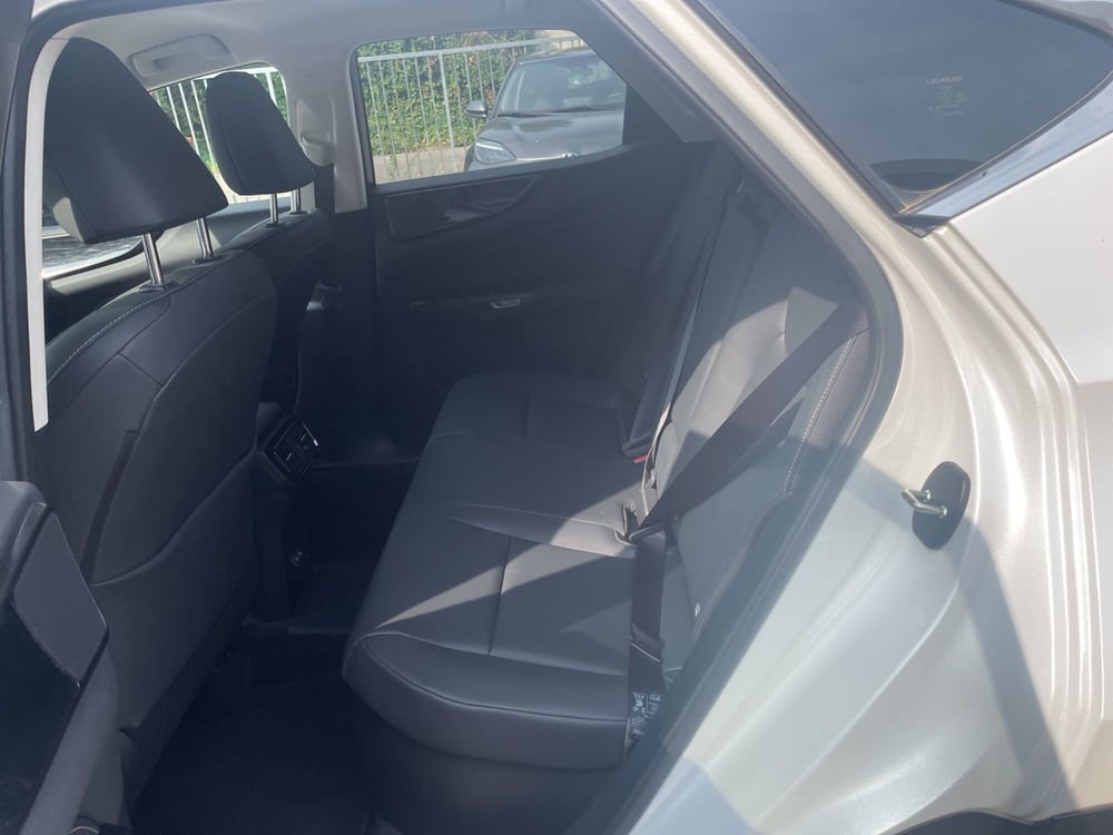 Lexus NX usata a Piacenza (10)