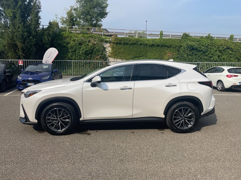 Lexus NX usata a Piacenza (3)