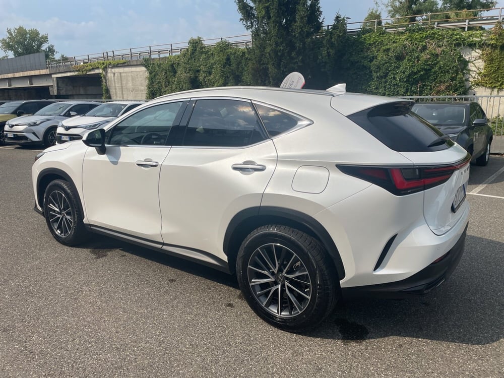 Lexus NX usata a Piacenza (4)