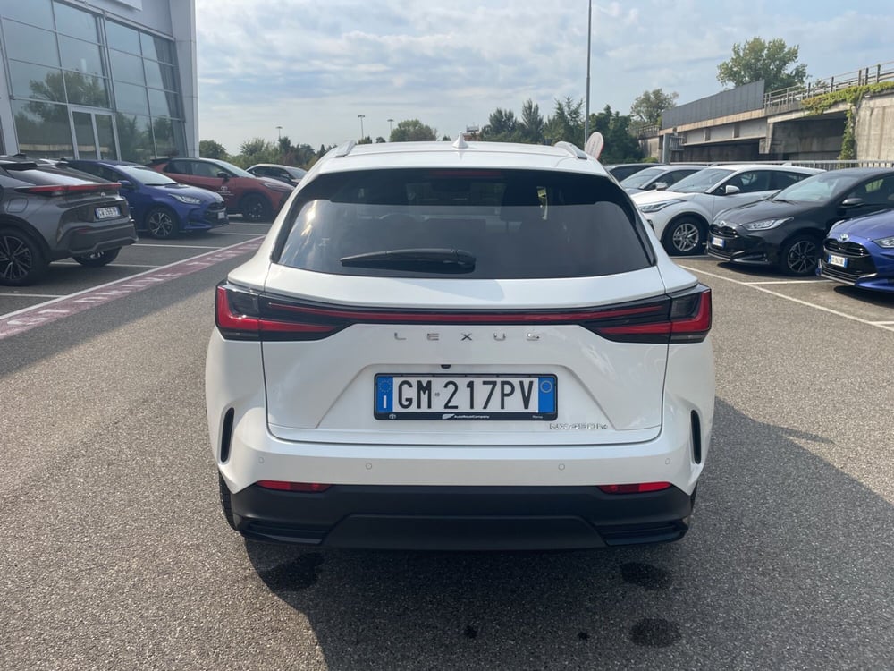 Lexus NX usata a Piacenza (5)