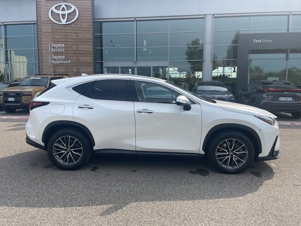 Lexus NX usata a Piacenza (7)