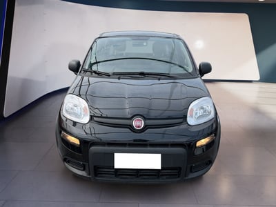 Fiat Panda 1.0 firefly hybrid s&amp;s 70cv 5p.ti del 2024 usata a Torino
