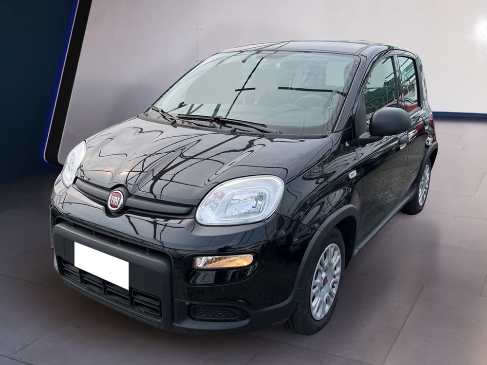 Fiat Panda usata a Torino (2)