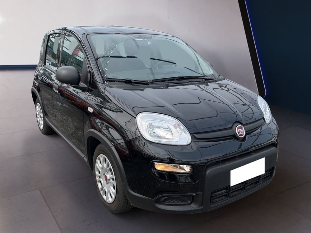 Fiat Panda usata a Torino (3)