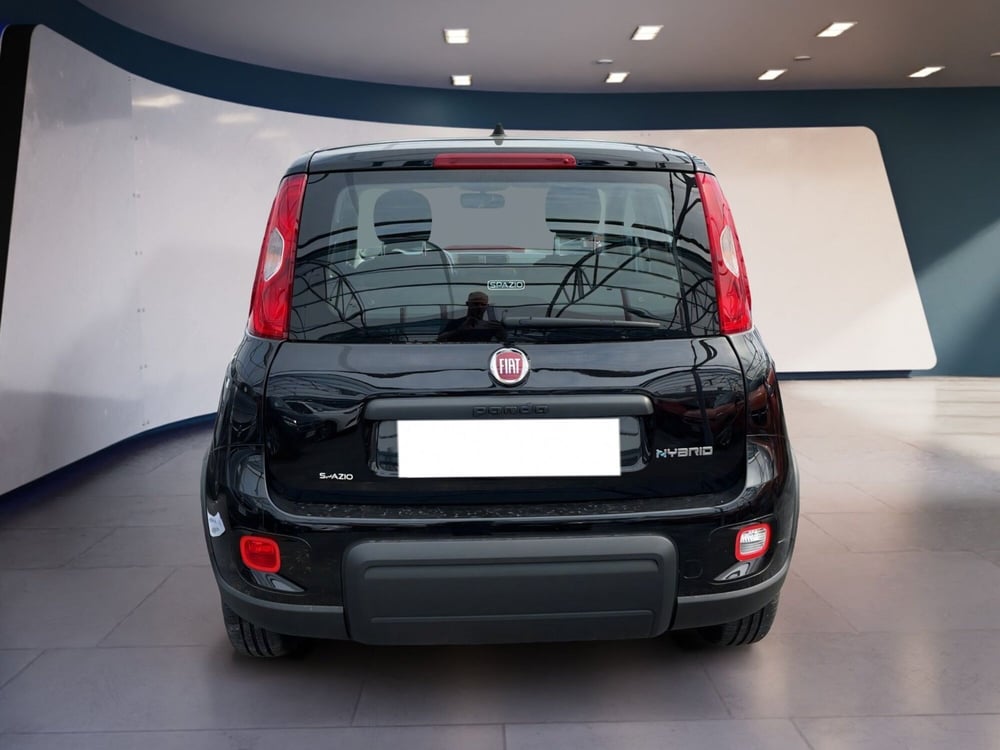 Fiat Panda usata a Torino (6)