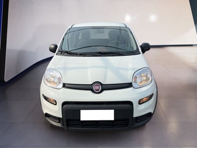 Fiat Panda 1.0 firefly hybrid s&amp;s 70cv 5p.ti del 2024 usata a Torino