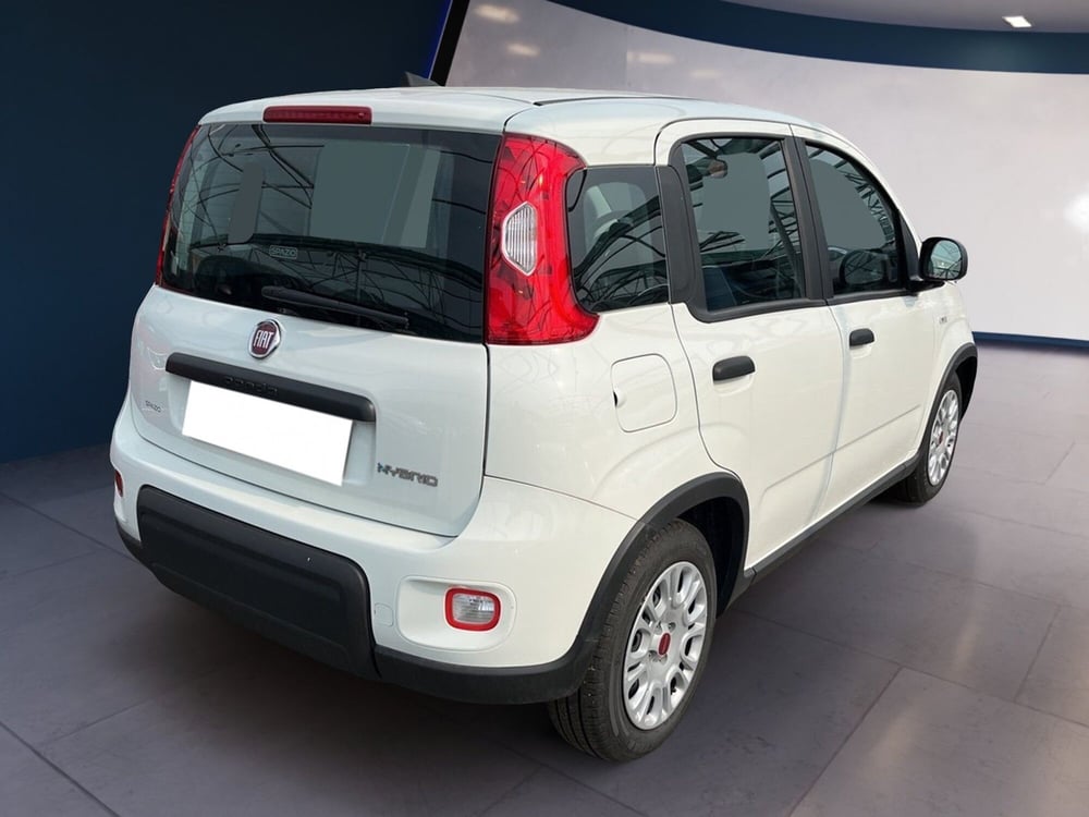 Fiat Panda usata a Torino (4)