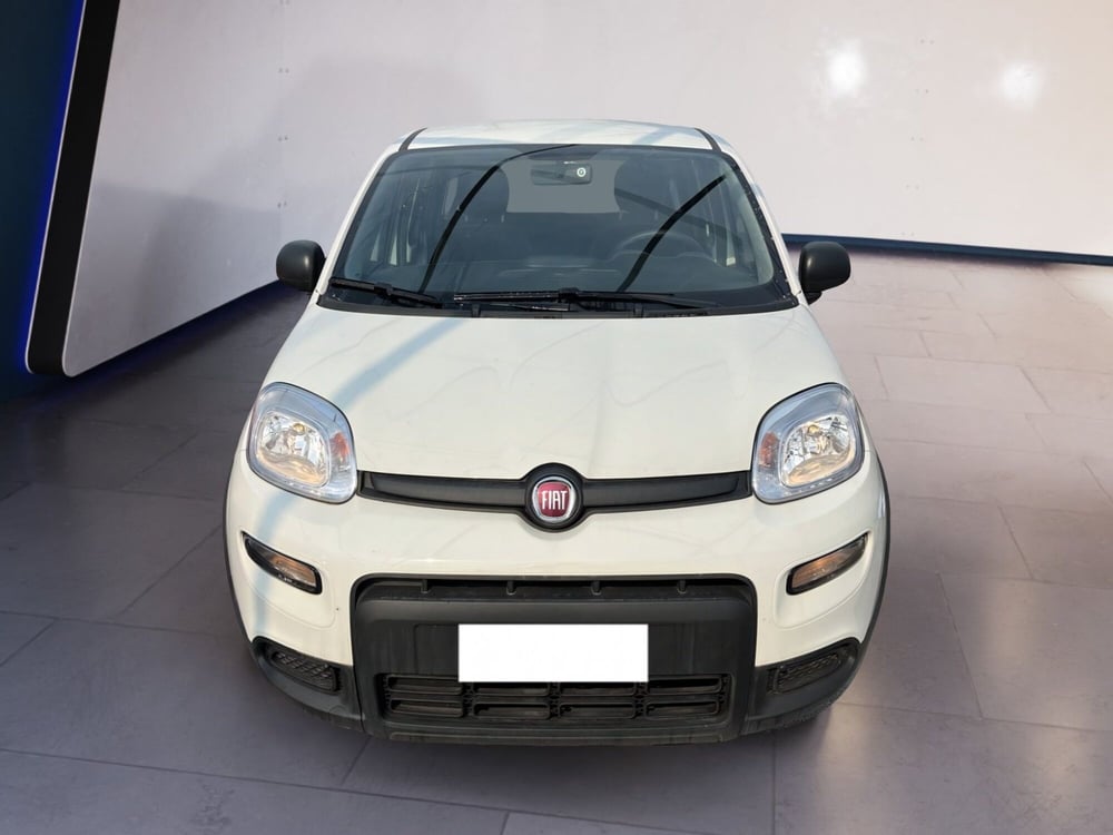 Fiat Panda usata a Torino
