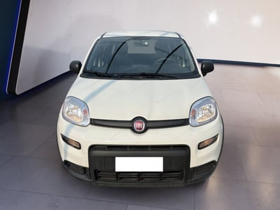 Fiat Panda 1.0 firefly hybrid s&amp;s 70cv 5p.ti del 2024 usata a Torino
