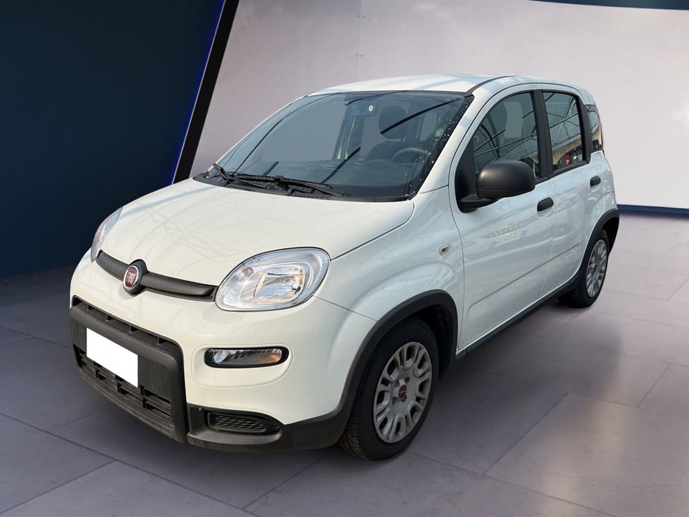 Fiat Panda usata a Torino (2)