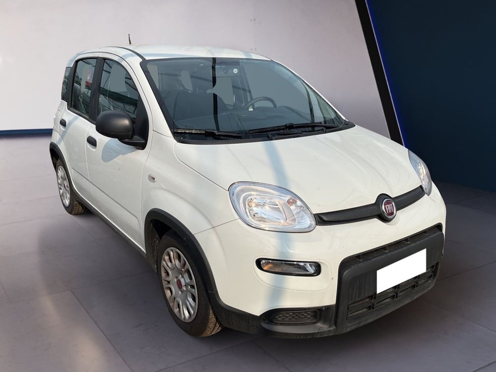 Fiat Panda usata a Torino (3)