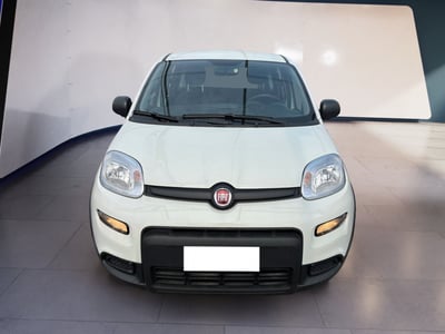 Fiat Panda 1.0 firefly hybrid s&amp;s 70cv 5p.ti del 2024 usata a Torino