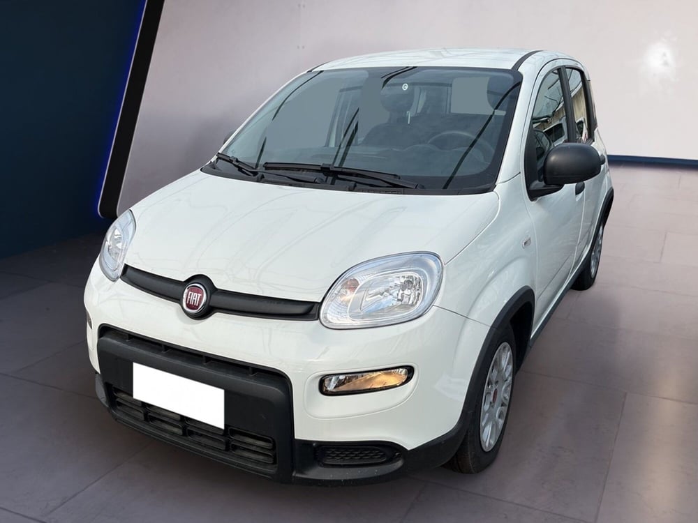 Fiat Panda usata a Torino (2)