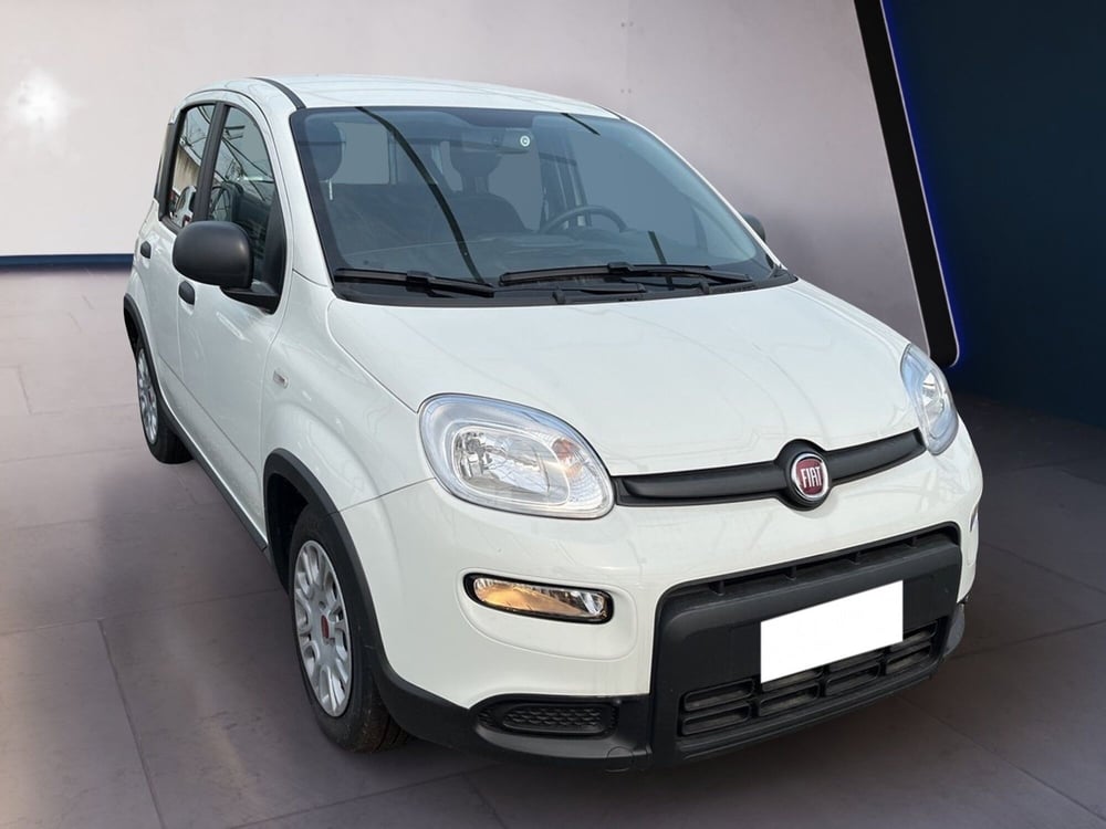 Fiat Panda usata a Torino (3)