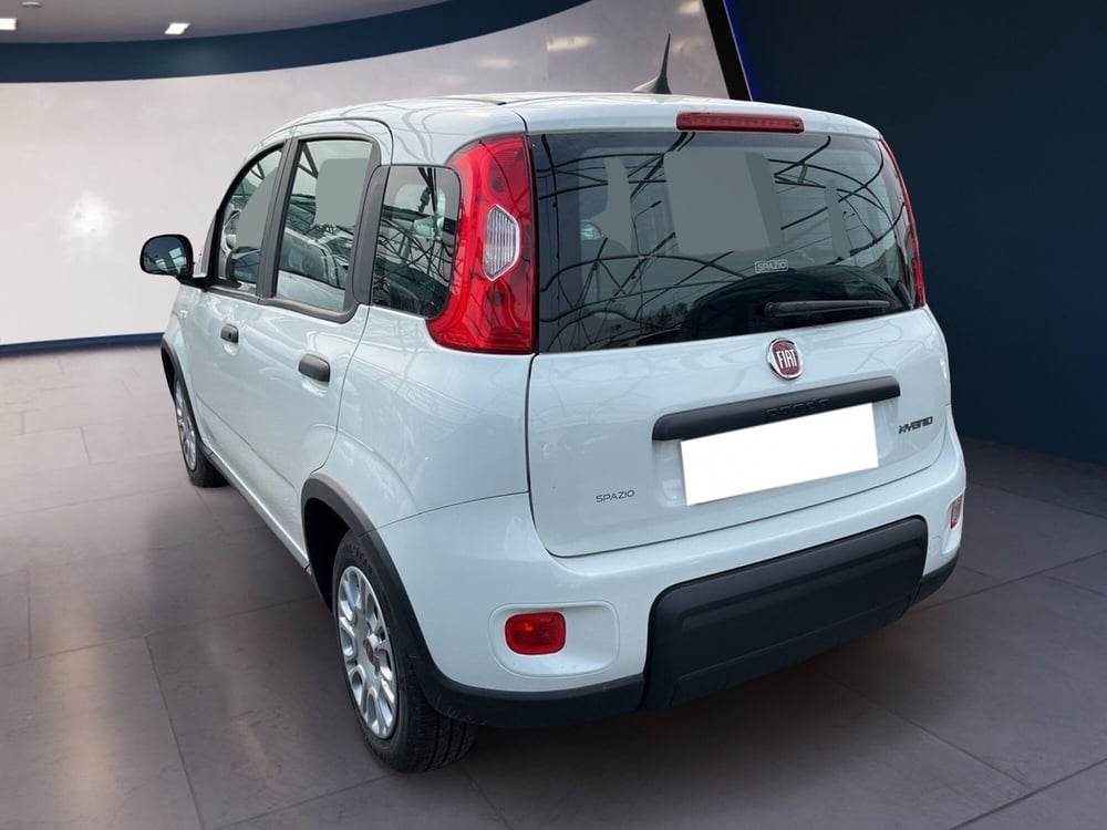 Fiat Panda usata a Torino (5)
