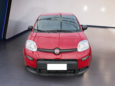 Fiat Panda 1.0 firefly hybrid s&amp;s 70cv 5p.ti del 2024 usata a Torino