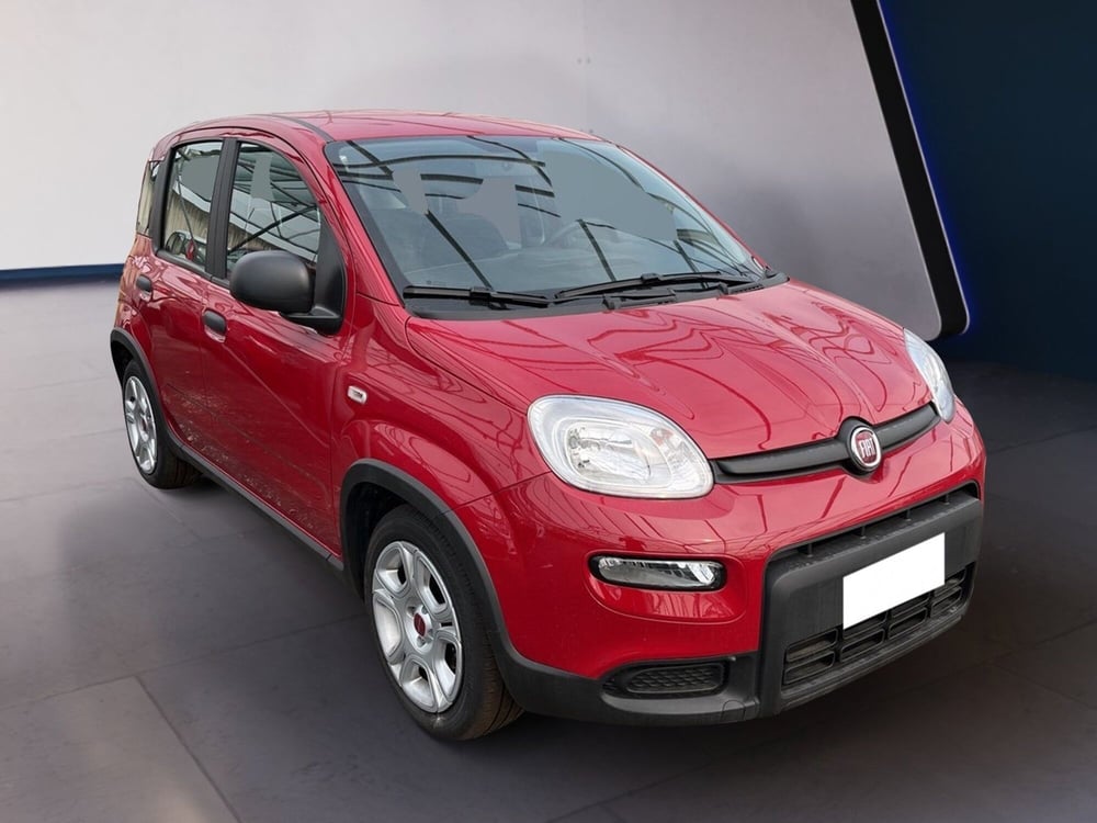 Fiat Panda usata a Torino (3)
