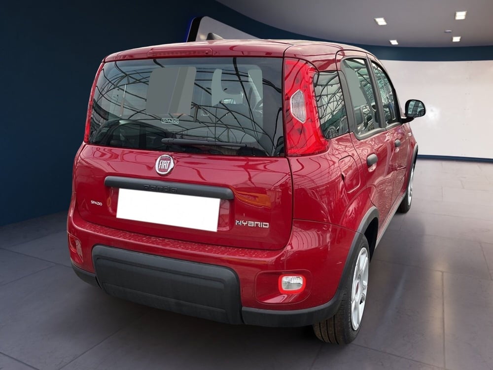 Fiat Panda usata a Torino (4)